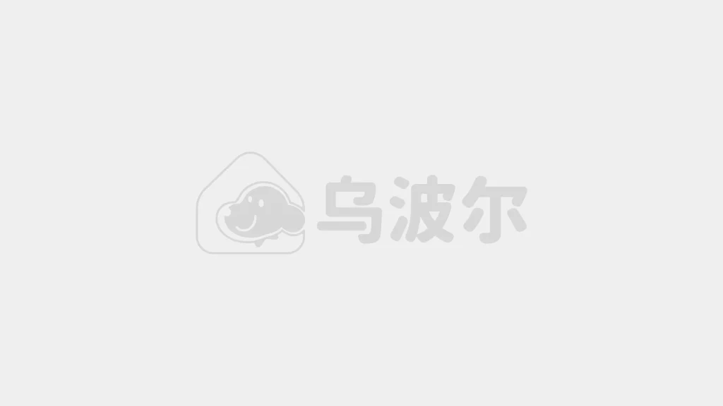 乌波尔 IP 视觉设计 项目图 1